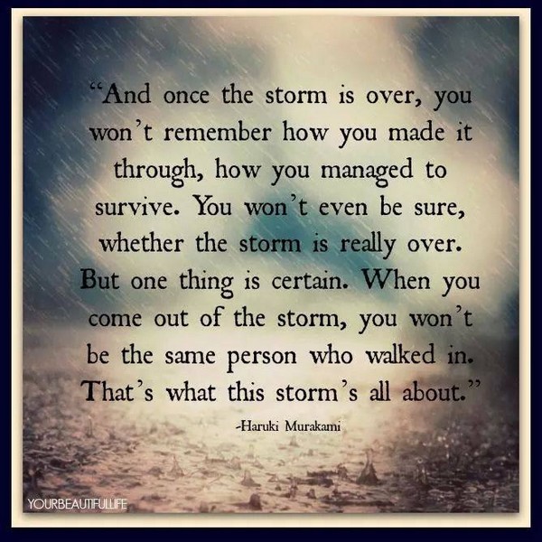 Once-the-storm-is-over_small